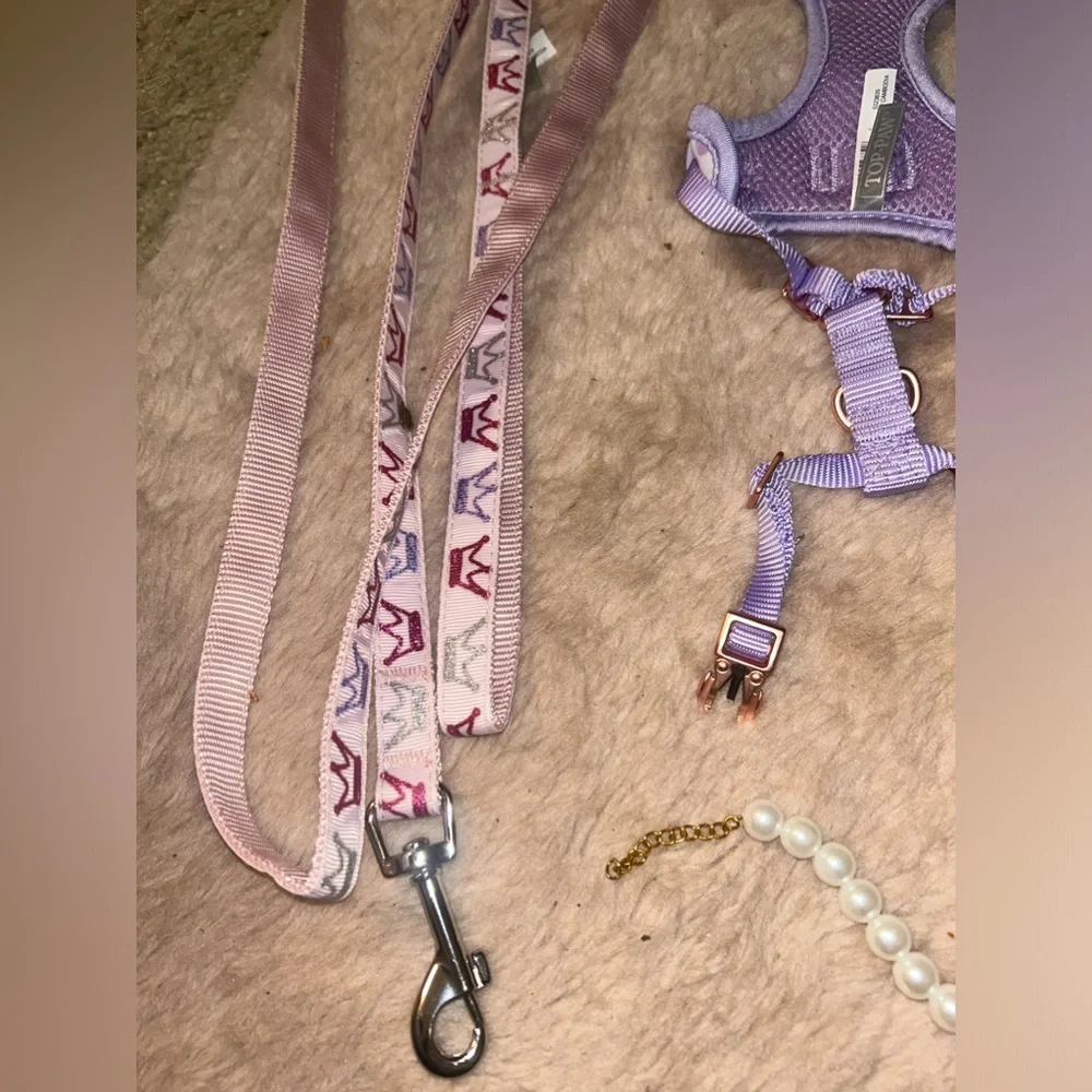Leash harness collar combo